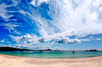 SC122 Boat Beach, Seal Rocks NSW